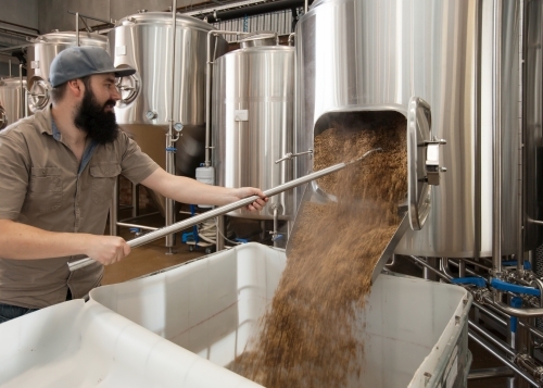 Brewer clearing out waste mash from stainless steel tank - Australian Stock Image
