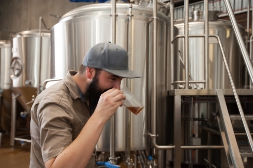 Brewer sampling mash at a microbrewery - Australian Stock Image