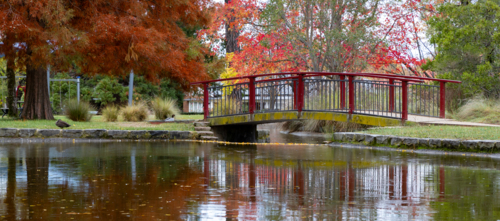 Bridge and pond in park in autumn, Cook Park - Australian Stock Image
