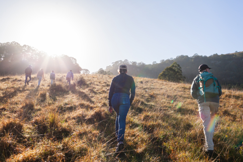 Bright morning sunlight streaming over family of teen and adult children with dad on bushwalk - Australian Stock Image