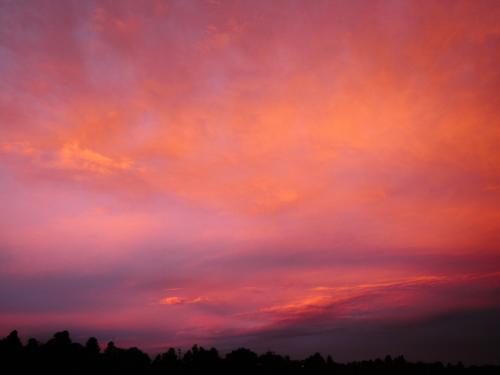 Bright pink and orange sunset sky with trees silhouette - Australian Stock Image