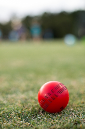 bright red cricket ball on the grass at practice - Australian Stock Image