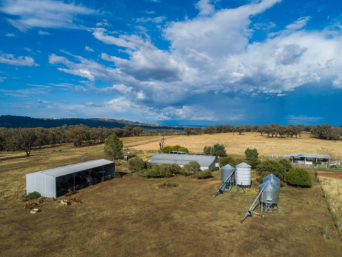 bright sunlit farming landscape of shearing shed silos and farm paddocks in Australia - Australian Stock Image