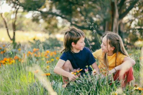 Brother and sister sitting together in field of gazania flowers - Australian Stock Image