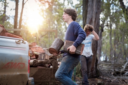 Brothers loading firweood onto trailer - Australian Stock Image
