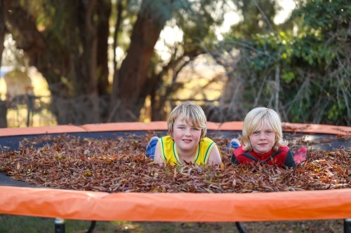Brothers playing on trampoline covered in fallen leaves in Autumn - Australian Stock Image