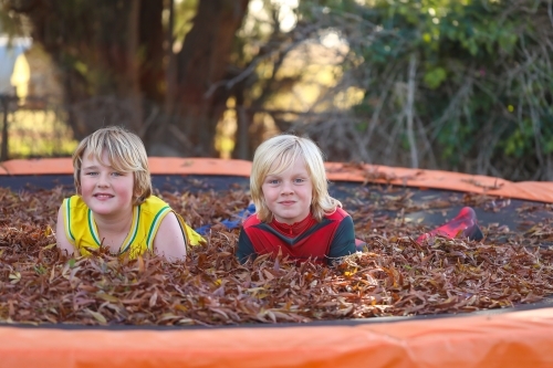 Brothers playing on trampoline covered in fallen leaves in Autumn - Australian Stock Image