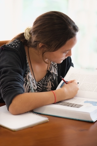 Brown haired teenager sitting at dining table studying intently. - Australian Stock Image