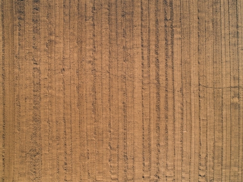 Brown soil in farm paddock - Australian Stock Image