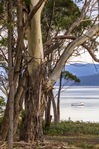 Bruny Island - Australian Stock Image