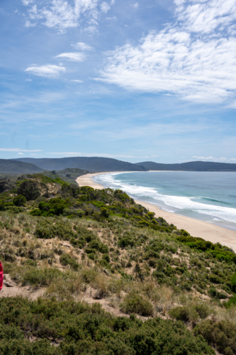 Bruny Island Shore - Australian Stock Image