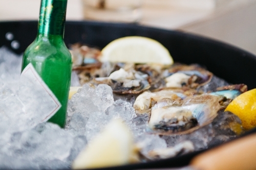 Bucket of  oysters and beer on ice - Australian Stock Image
