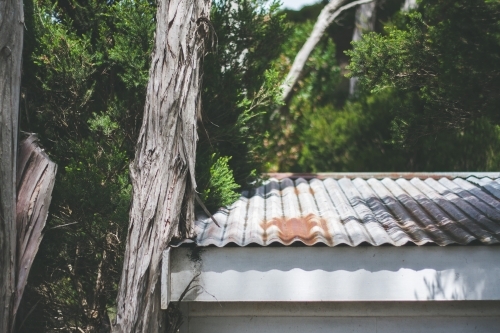 Building with corrugated iron roof and trees in the background - Australian Stock Image