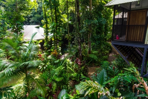 Buildings in the Daintree Rainforest - Australian Stock Image