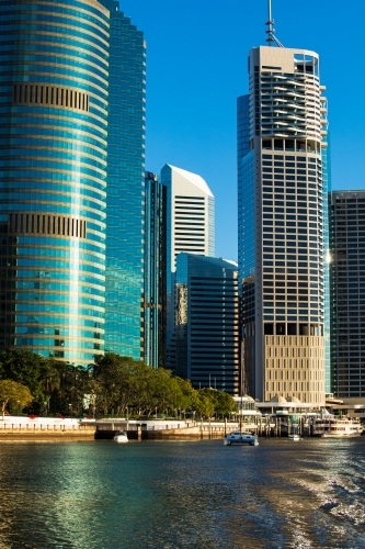 Buildings of Brisbane city along Brisbane River adjacent to the City Botanic Gardens