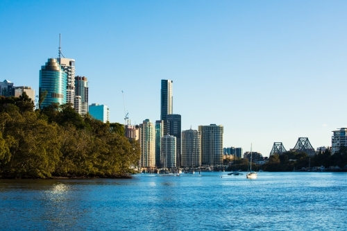 Buildings of Brisbane city along the Brisbane River adjacent to the City Botanic Gardens