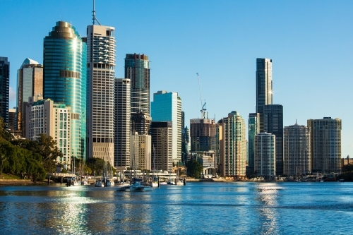 Buildings of Brisbane city along the Brisbane River adjacent to the City Botanic Gardens - Australian Stock Image