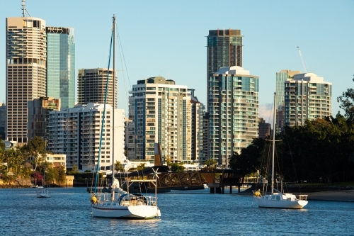 Buildings of Brisbane city along the Brisbane River adjacent to the City Botanic Gardens - Australian Stock Image