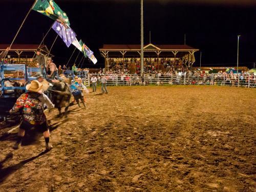Bull rider leaving the chute with clown and grandstand - Australian Stock Image