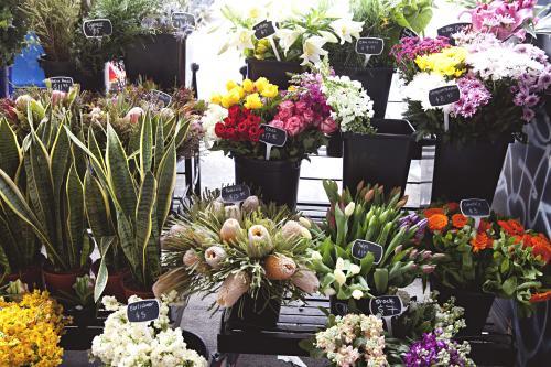 Bunches of colourful flowers and plants for sale in the street