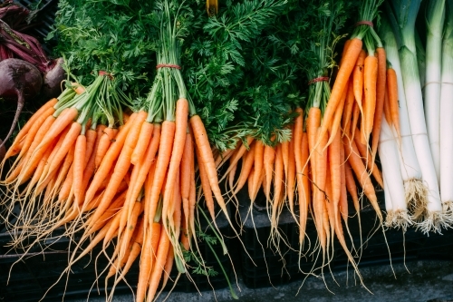 Bunches of fresh baby carrot for sale on the market. - Australian Stock Image