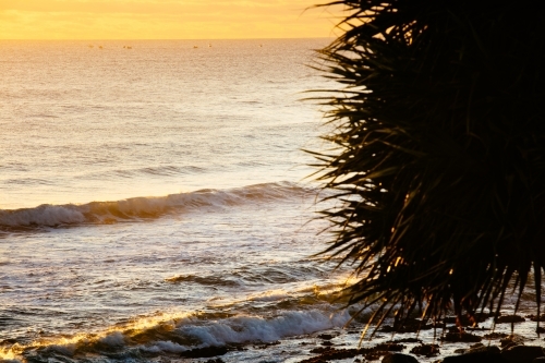 Burleigh Head - Australian Stock Image