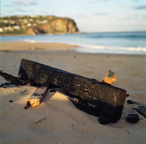 Burnt wood on a beach