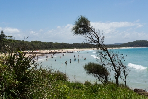 Bush and crowds on the south coast during summer holidays - Australian Stock Image