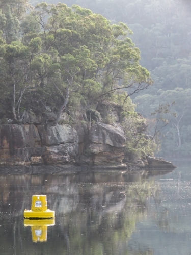 Bush and early morning mist on still water, with a navigation buoy