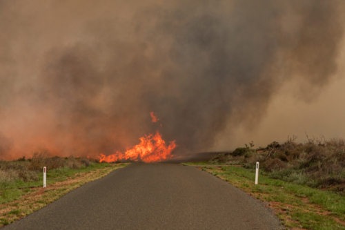 Bush fire crossing over the road, from lightening strike, in dust and thunderstorm - Australian Stock Image