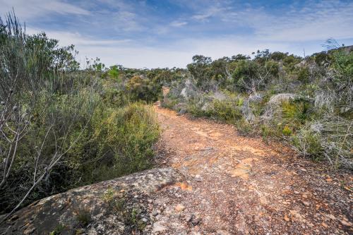 Bush Track - Australian Stock Image