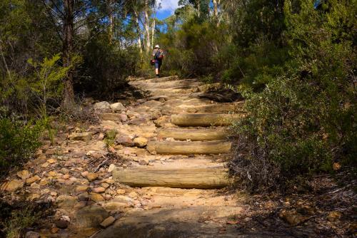 Bush walking path with log steps and man in the distance. - Australian Stock Image
