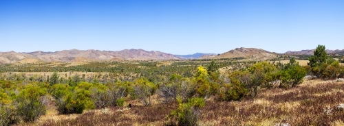 Bushes with range of hills in background and blue sky - Australian Stock Image
