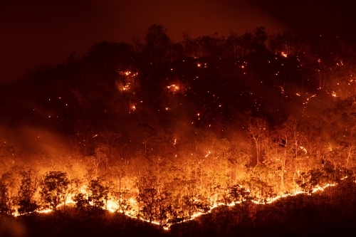 Bushfire at Night - Australian Stock Image