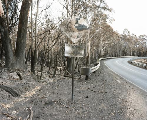 Bushfire ravaged landscape with road and road sign