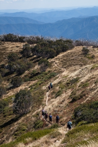 Bushwalkers walking on a track along a ridge in the mountains - Australian Stock Image