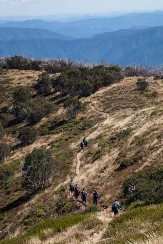 Bushwalkers walking on a track along a ridge in the mountains