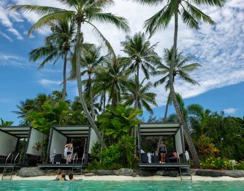 cabanas surrounded by coconut trees at a beach resort
