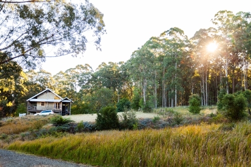 Cabbin in clearing in woods - Australian Stock Image