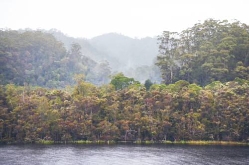 Calm waters with forest in the background on the Gordon River, Tasmania - Australian Stock Image