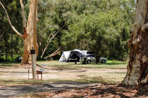 Camping in the bush - Australian Stock Image