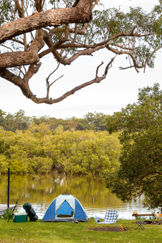 Camping tents built beside the lake - Australian Stock Image