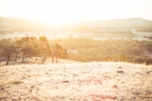 Camping view of grassy slope at sunset