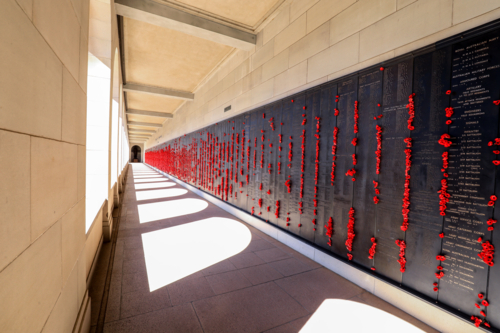 Canberra, ACT, Australia 18th November 2025– Wall of red poppies at the Australian War Memorial, - Australian Stock Image