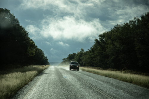 Car driving on a tree lined, bitumen road - Australian Stock Image