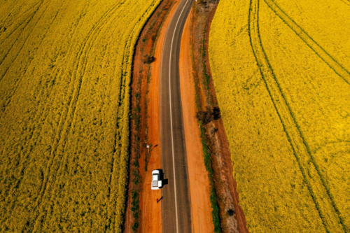 car on side of road surrounded by canola paddocks - Australian Stock Image