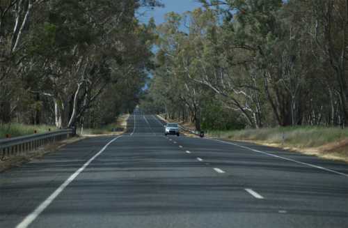 Cars on country road lined with gum trees - Australian Stock Image