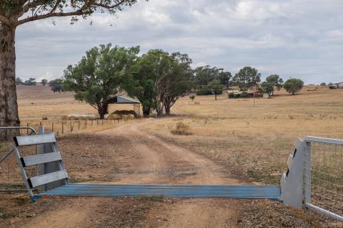 Cattle Grid - Australian Stock Image
