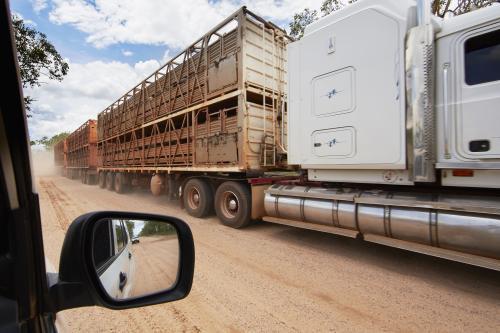 Cattle transport truck passes 4wd on dirt road.