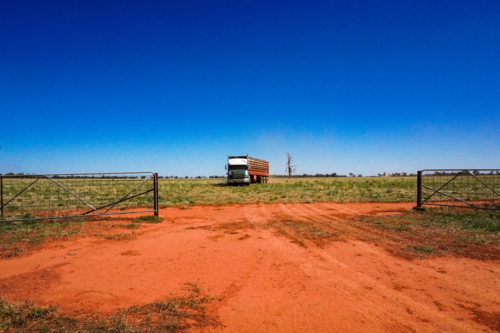 Cattle Truck approaching through paddock on orange outback dirt - Australian Stock Image